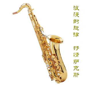 四川BBMBBB凸凸凸大视频
